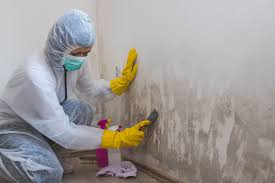 Mold Remediation for Vacation Homes in Jericho, NY